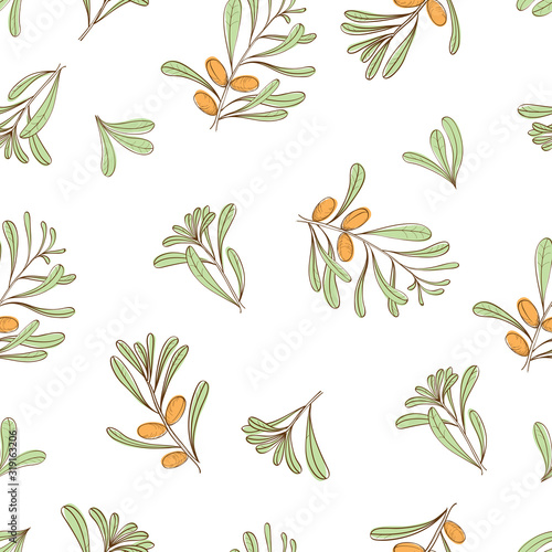 Seamless pattern with branches of argania for textile, wallpapers, gift wrap, covers and scrapbook. Vector.