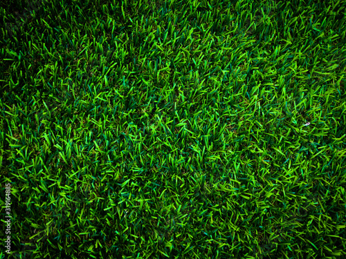 Beautiful green grass pattern from golf course for background. Copy space for work and design, Top view