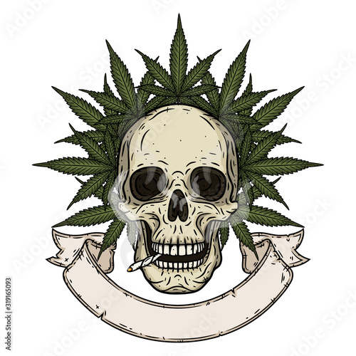 Skull. Rastaman skull with cannabis leafs and ribbon for your text.
