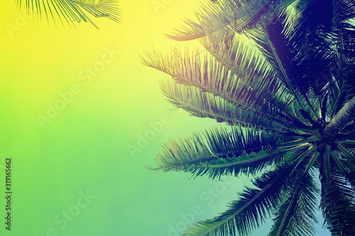 Coconut palm trees leaf and sky clouds  in summer beach with sunlight background. vintage tone