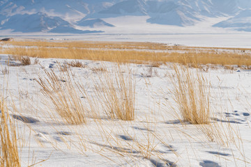 Stickers Plage et Mer Snow mountain and snow field grassland near by the Xinjiang China Sayram lake.Winter season.  © Jiva Core