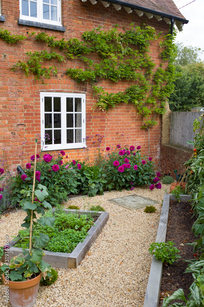 Naklejka premium Mały ogród na dziedzińcu w Wielkiej Brytanii