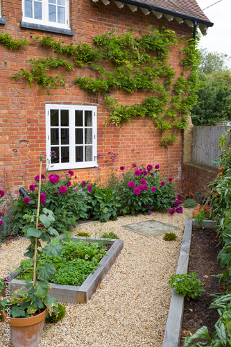 Fototapeta Naklejka Na Ścianę i Meble -  Small courtyard garden UK