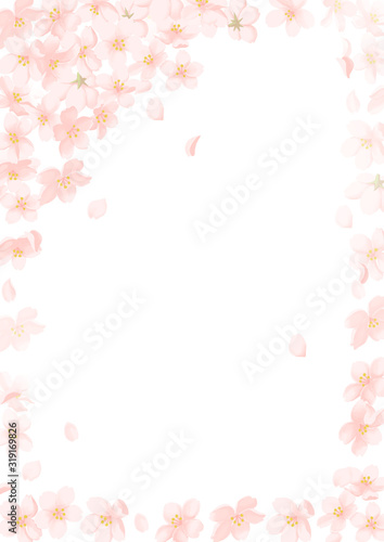 春の桜フレーム © hinoid