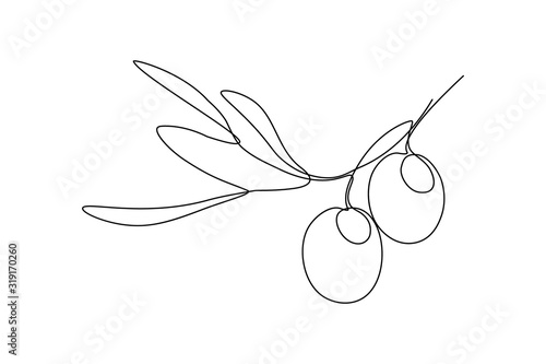 Olives in continuous line art drawing style. Minimalist black linear sketch on white background. Vector illustration