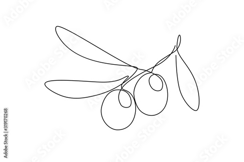 Olives in continuous line art drawing style. Minimalist black linear sketch on white background. Vector illustration