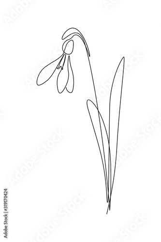 Spring snowdrop flower in continuous line art drawing style. Black linear sketch on white background. Vector illustration
