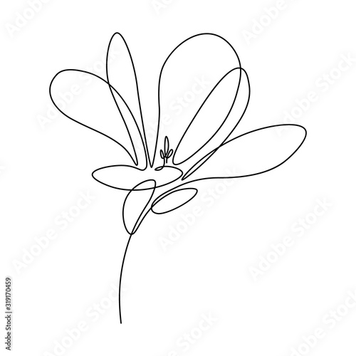 Magnolia flower in continuous line art drawing style. Minimalist black linear sketch isolated on white background. Vector illustration