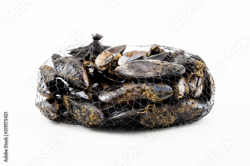 Cozze fresche che girano sullo sfondo bianco