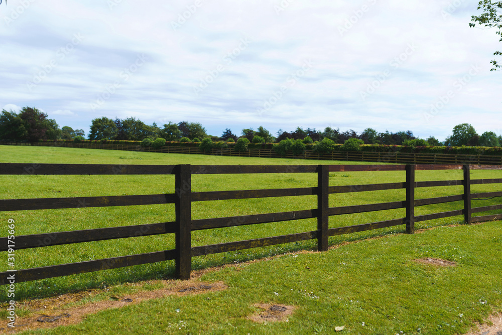 dark wooden fence around lawn