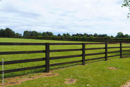 dark wooden fence around lawn