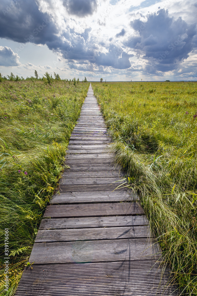 Tourist path called Dluga Luka on a Lawki Swamps in Biebrza National Park in Poland
