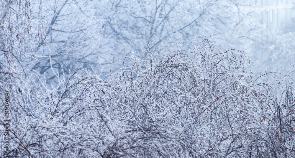 Winter tree branch texture. Trees covered with frost in winter morning. Early winter fog with bare frozen tree branches. winter website cover Winter tree branch texture. Trees covered with frost in winter morning. Early winter fog with bare frozen tree branches. winter website cover