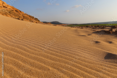 Wind Comb on the sand dunes