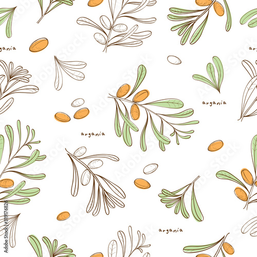 Seamless pattern with branches of argania for textile, wallpapers, gift wrap, covers and scrapbook. Vector.