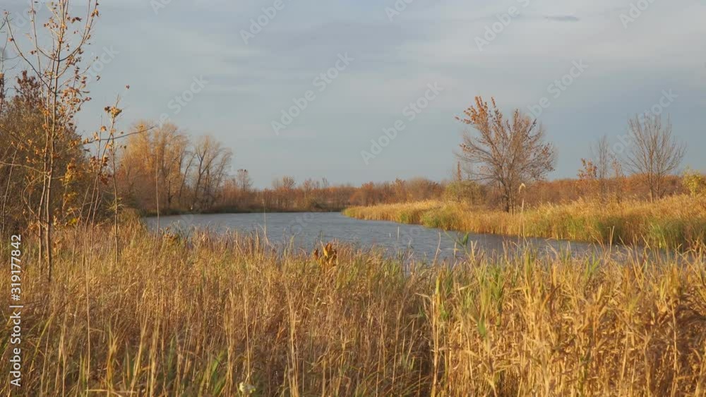 Beautiful Autumn lake surrounded by dry reeds and grass Beautiful Autumn lake surrounded by dry reeds and grass