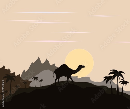 Camel in the desert the sun rises or sets the symbol of travel and tourism  vector