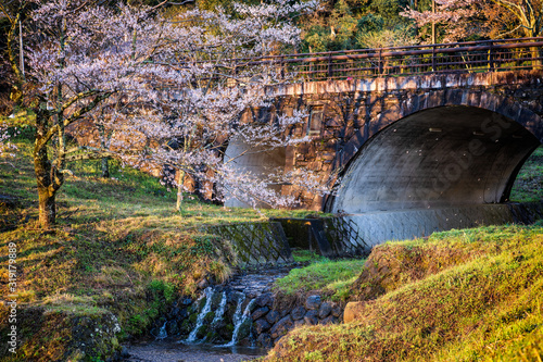 霞間ヶ渓の桜 photo