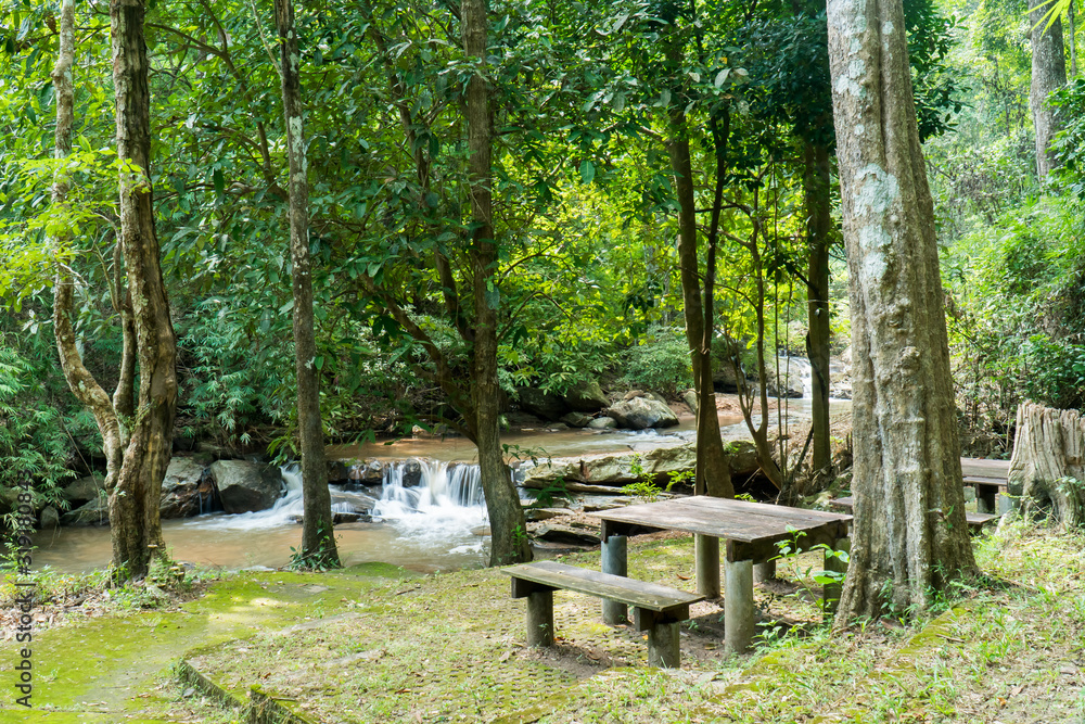 Wood table and bench for resting on grass lawn yard at Mae sa waterfall in Chiang Mai, Thailand. Wood table and chairs on ground floor for relaxation with waterfall and trees