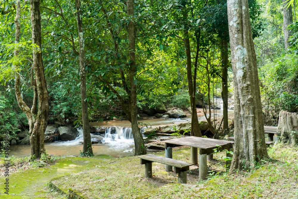 Wood table and bench for resting on grass lawn yard at Mae sa waterfall in Chiang Mai, Thailand. Wood table and chairs on ground floor for relaxation with waterfall and trees Wood table and bench for resting on grass lawn yard at Mae sa waterfall in Chiang Mai, Thailand. Wood table and chairs on ground floor for relaxation with waterfall and trees