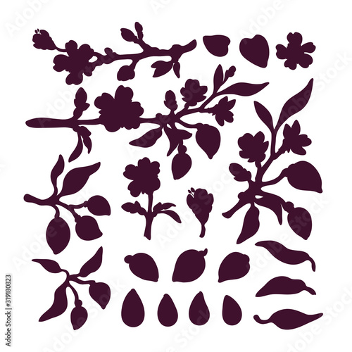 Almond set. Vector art shape. Organic milk, bio oil