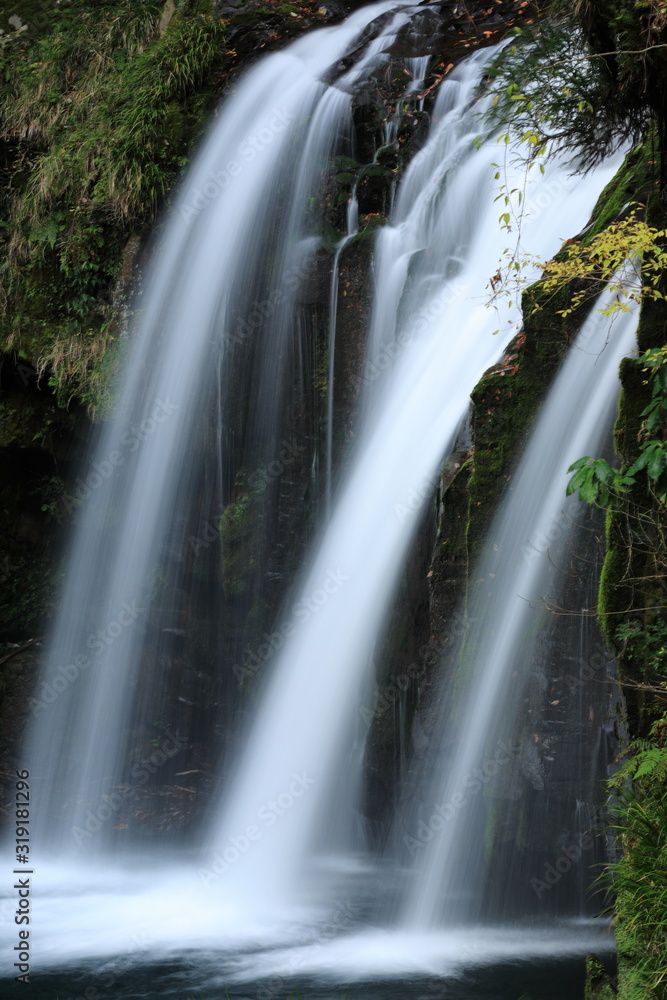 Fototapeta premium 河津七滝 初景滝