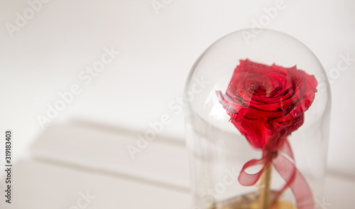 Fényképezés Closeup on handmade enchanted rose in glass dome bell