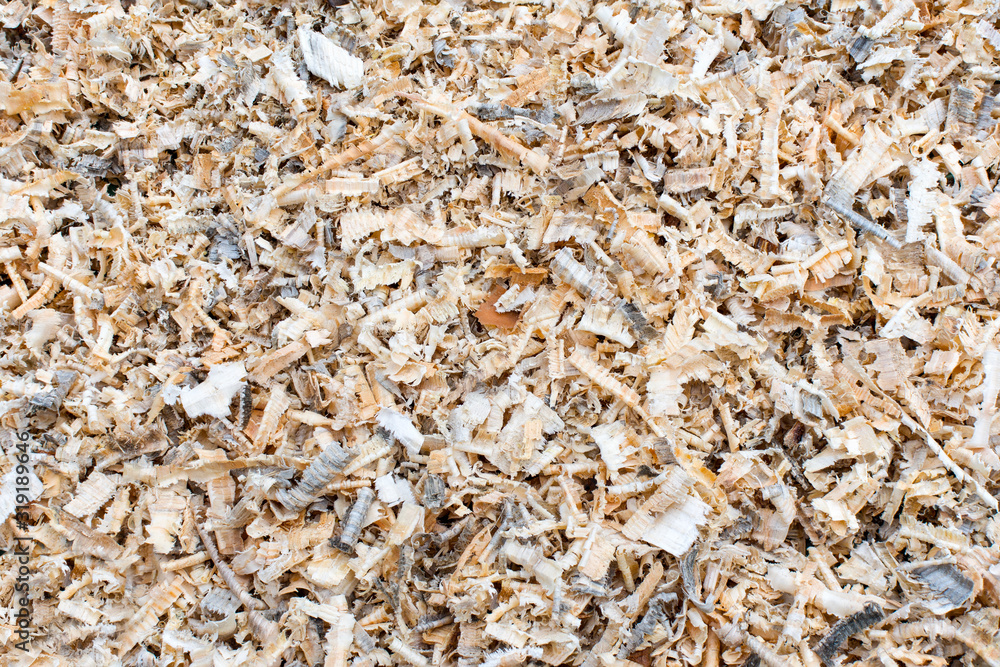 Wood shavings image for background. Wood shavings image for background.