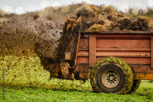 farmer spreading manure in fields in autumn