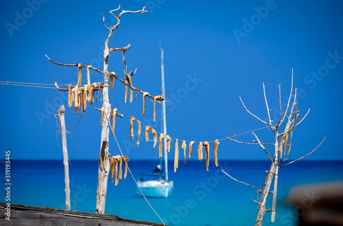 Modo tradicional de secar el pescado en Es Caló, en la isla de Formentera. photo