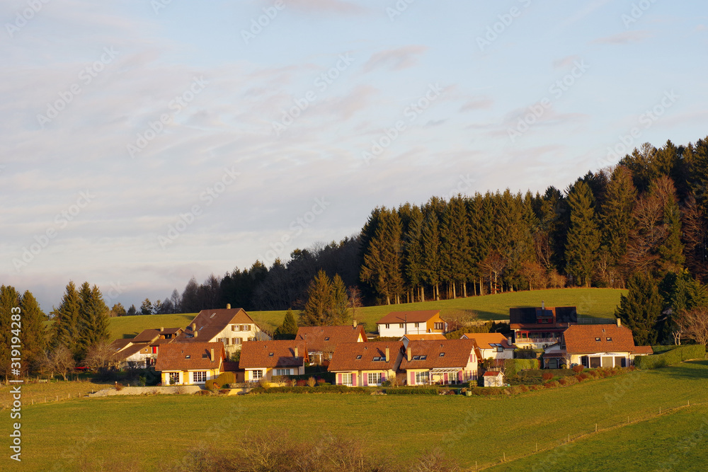 Village suisse près d'une forêt Village suisse près d'une forêt