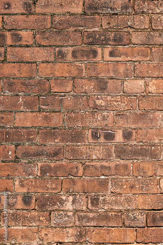 Brick wall detail.