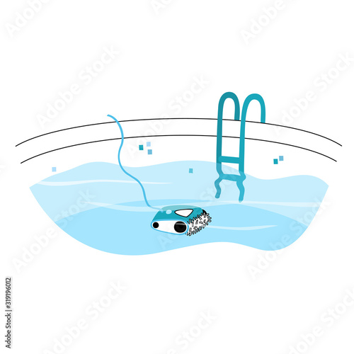 Swimming pool vacuum