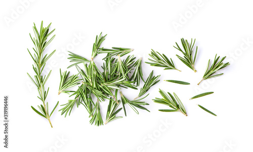 fresh rosemary isolated on white background