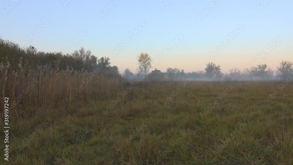 morning landscape meadow and river in a light haze, the camera moves from left to right. morning landscape meadow and river in a light haze, the camera moves from left to right.