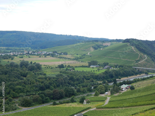 Weinberg Aufnahme mit Natur