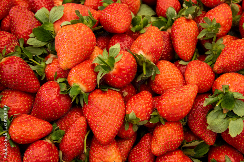 fresh strawberries at the market fresh strawberries at the market
