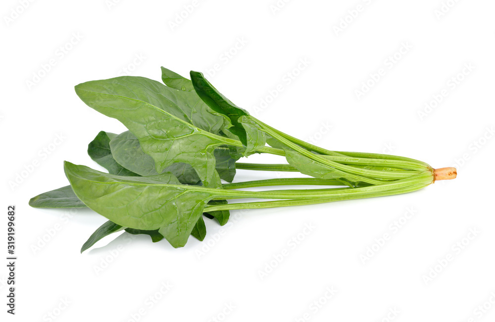 uncooked fresh spinach on white background uncooked fresh spinach on white background
