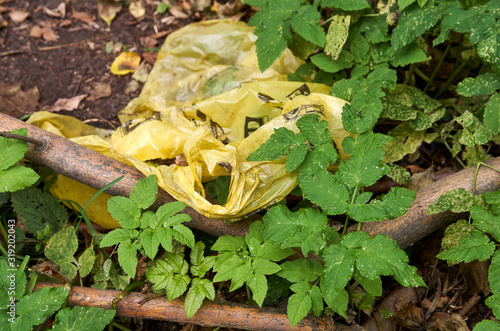 Trash dirty bag on grass in forest photo