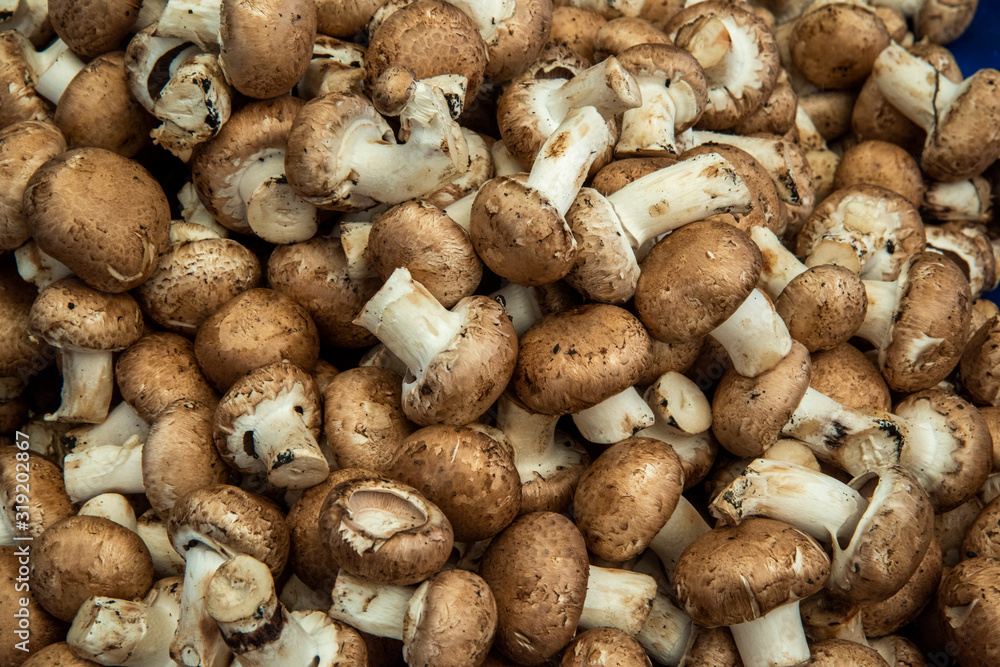 pile of mushrooms on the market 