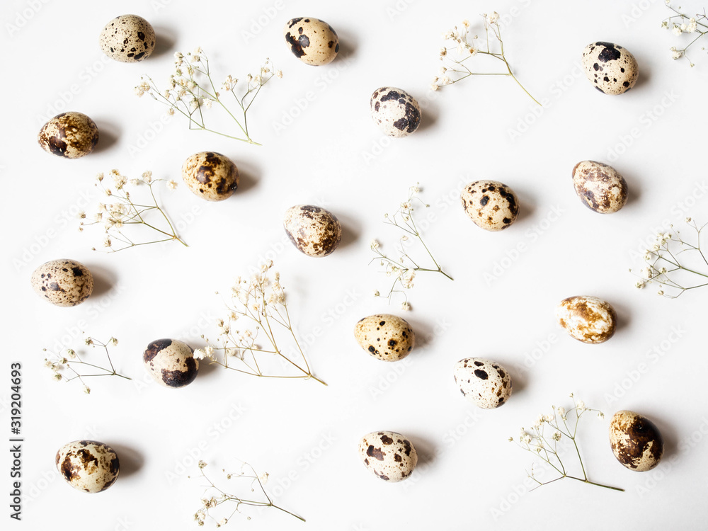 Creative Easter composition from Quail eggs and flowers on a white background. Top view Creative Easter composition from Quail eggs and flowers on a white background. Top view