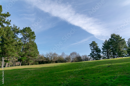 Paisaje Asturiano