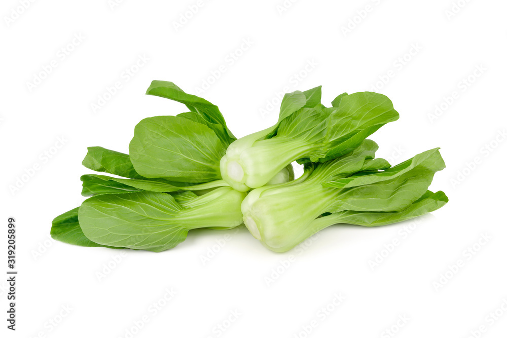 fresh baby bok choy or chinese cabbage on white background fresh baby bok choy or chinese cabbage on white background