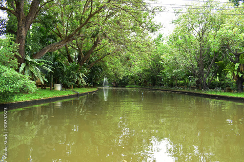 landscape of public park in the morning with view of water small pond