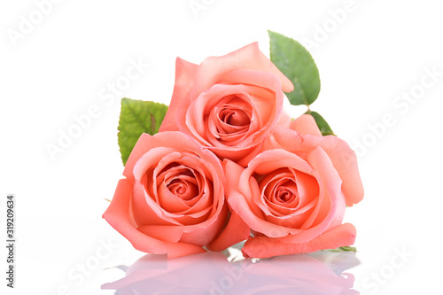 orange peach color tone of rose flower bouquet isolated on white background