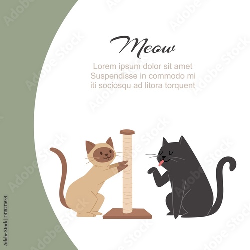 Funny cartoon cats scratching claw sharpener and licking paw with meow typography vector illustration. Cute cats for pets shop ad or website.