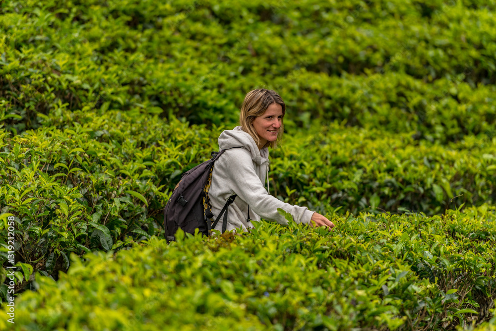 Haputale, Sri Lanka - november 23, 2019: Blonde young woman in Tea Factory in tea plantation near Haputale. Sri Lanka.