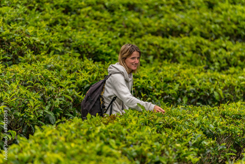 Obraz na płótnie Haputale, Sri Lanka - november 23, 2019: Blonde young woman in Tea Factory in tea plantation near Haputale. Sri Lanka. w salonie
