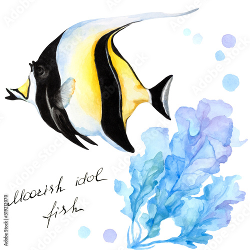 Fish moorish idol (zanclus), hand drawn watercolor illustratiion. photo