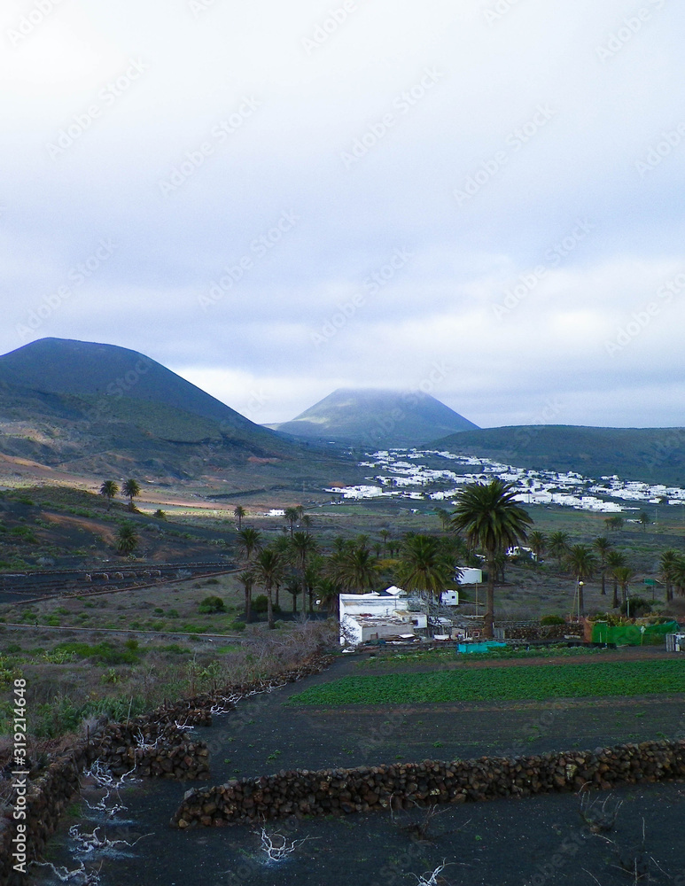 Fototapeta premium City of Haria and it's surrounding nature, Lanzarote, Canary Islands.